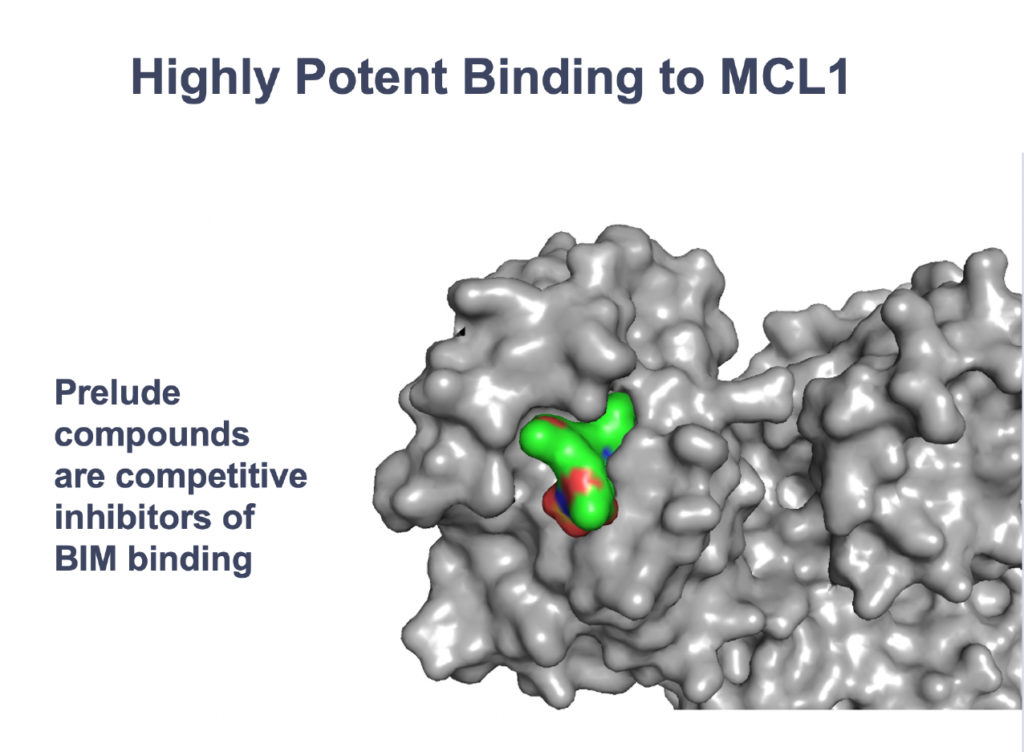 MCL1 Graphic 2