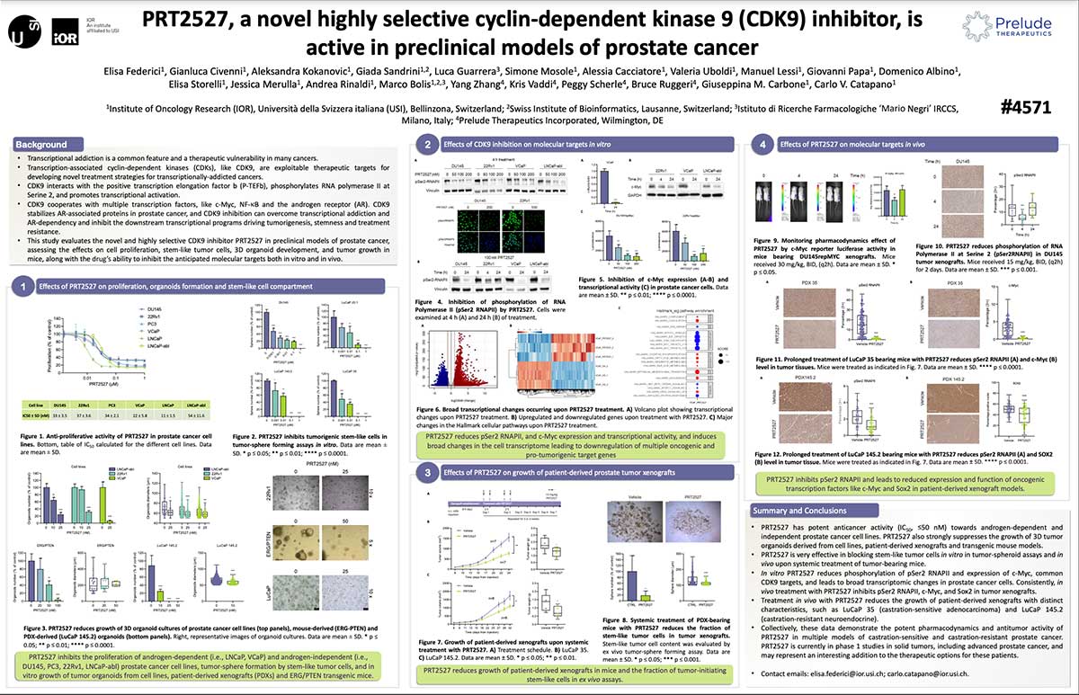 PRT2527, a novel highly selective cyclin-dependent kinase 9 (CDK9) inhibitor, is active in preclinical models of prostate cancer