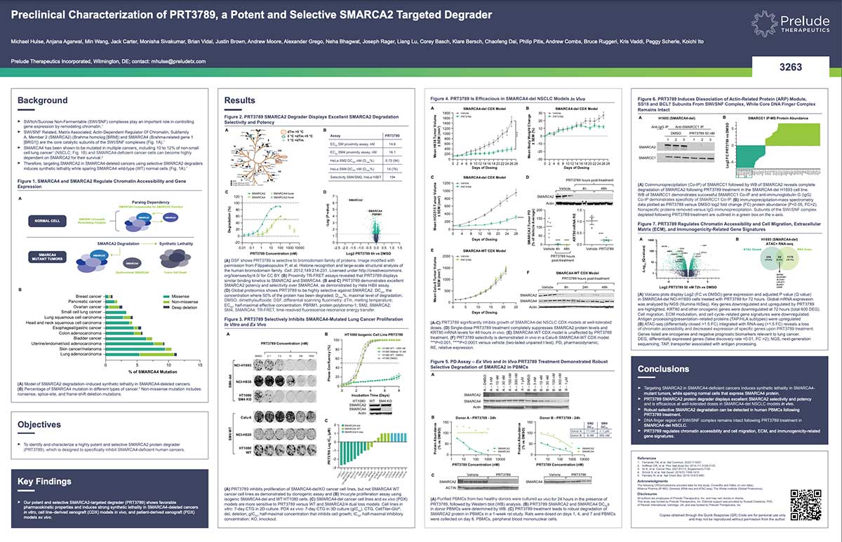 Preclinical Characterization of PRT3789, a Potent and Selective SMARCA2 Targeted Degrader