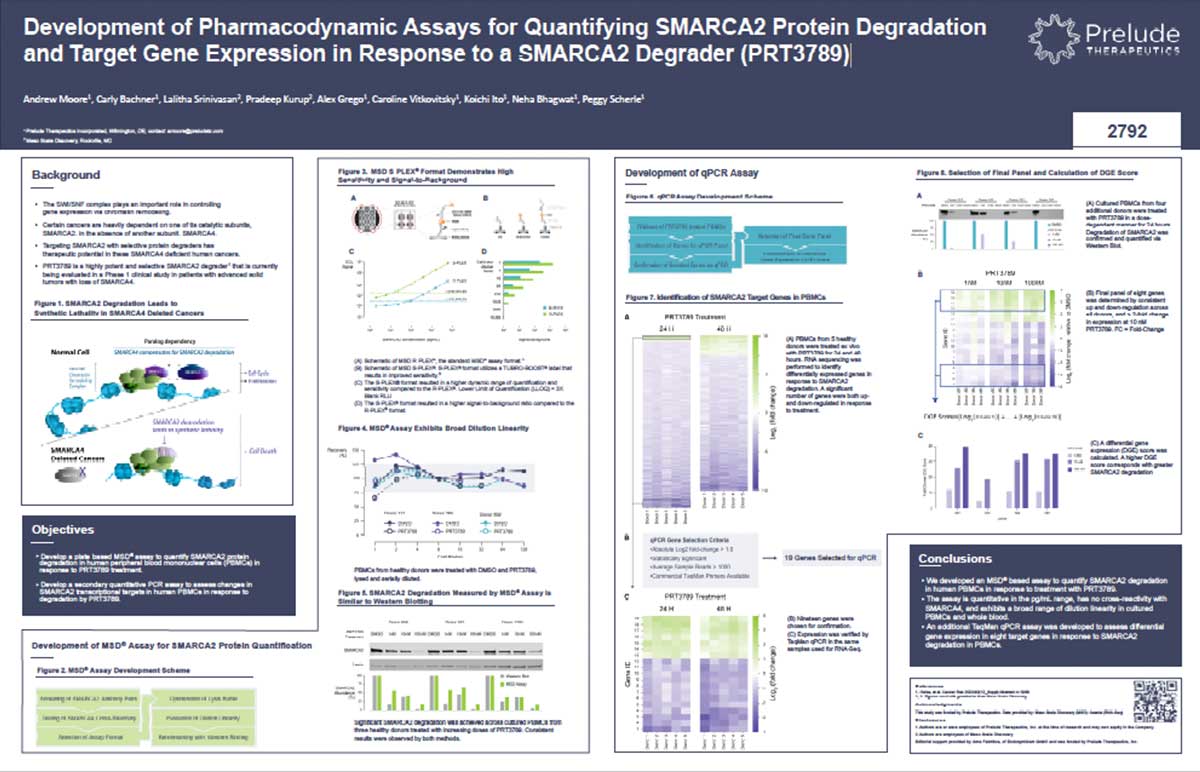 Development-of-Pharmacodynamic-Assays-for-Quantifying-SMARCA2-Protein-Degradation-and-Target-Gene-Expression-in-Response-to-a-SMARCA2-Degrader-(PRT3789)-thumb