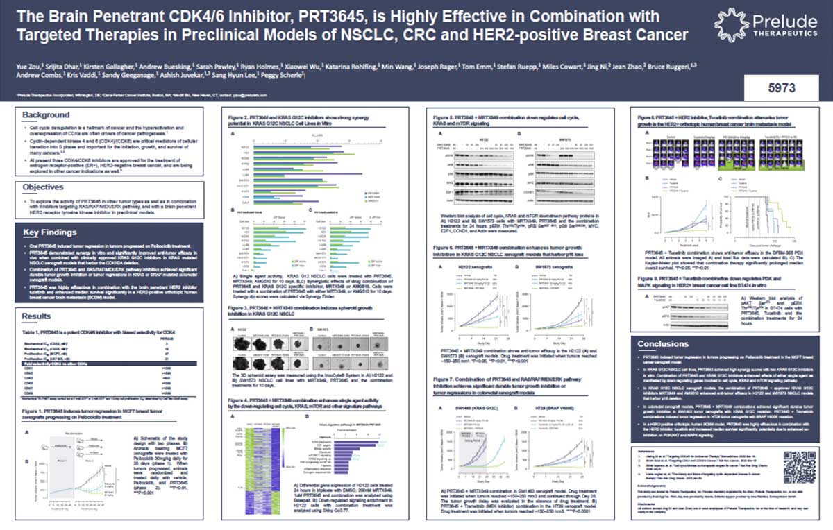 The-Brain-Penetrant-CDK4-6-Inhibitor,-PRT3645,-is-Highly-Effective-in-Combination-with-Targeted-Therapies-in-Preclinical-Models-of-NSCLC,-CRC-and-HER2-positive-Breast-Cancer-thumb