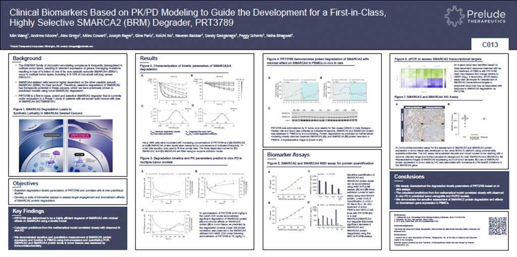 Clinical-Biomarkers-Based-on-PK-PD-Modeling-to-Guide-the-Development-for-a-First-in-Class,-Highly-Selective-SMARCA2-(BRM)-Degrader,-PRT3789-thumbnail