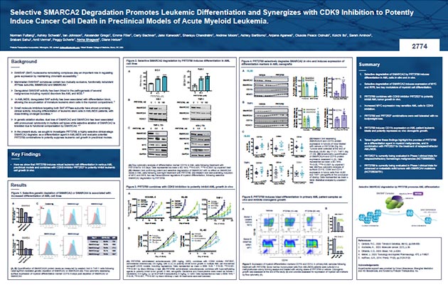 Induce-Cancer-Cell-Death-in-Preclinical-Models-of-Acute-Myeloid-Leukemia-thumb