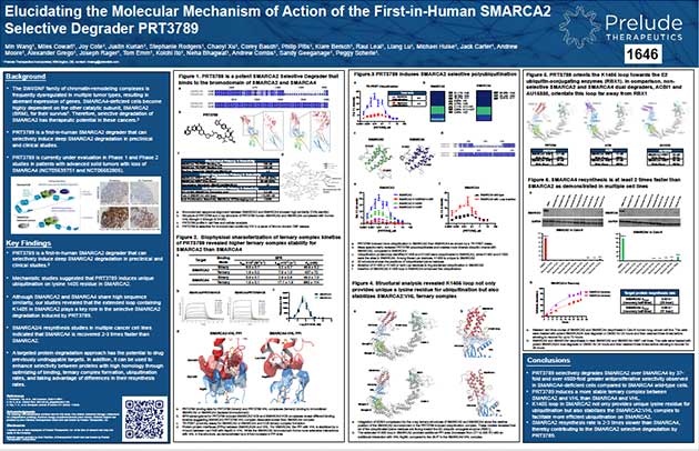 Elucidating-the-Molecular-Mechanism-of-Action-of-the-First-in-Human-SMARCA2-Selective-Degrader-PRT3789-thumb