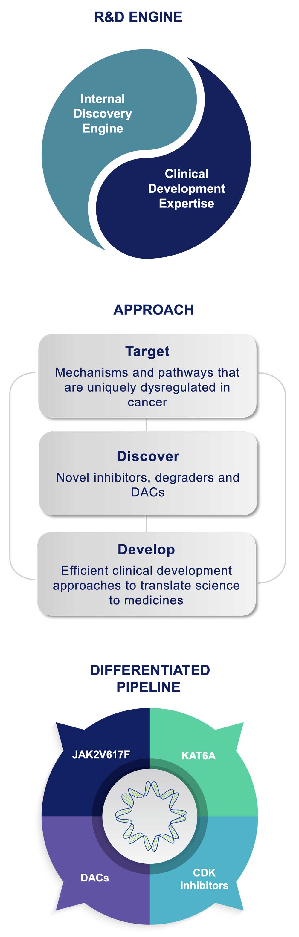 discovery-engine-mobile-v2