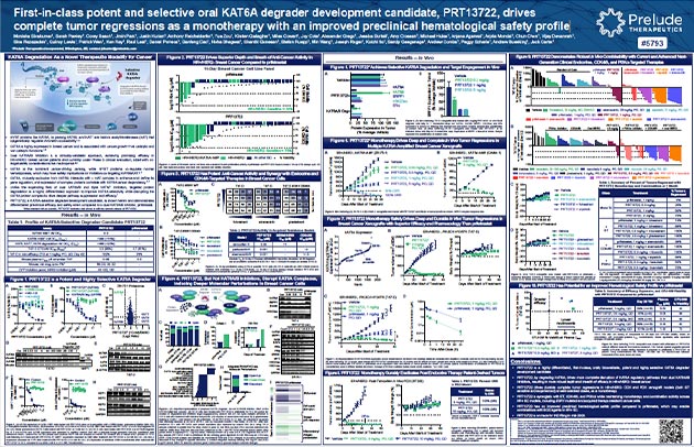 First-in-class potent and selective oral KAT6A degrader development candidate, PRT13722, drives complete tumor regressions as a monotherapy with an improved preclinical hematological safety profile thumb